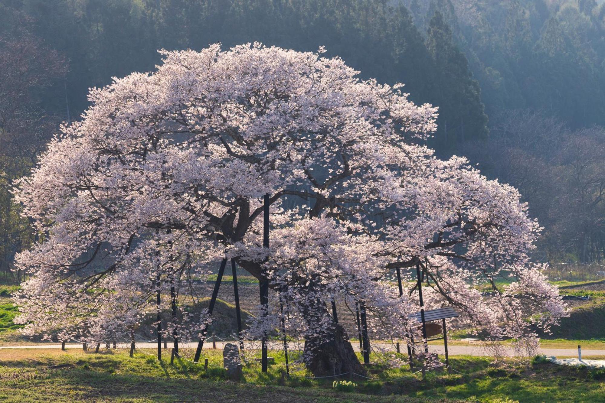 The Toji Ba Matsukawakan Takayama  외부 사진